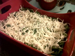 IMG00072-20111106-1651