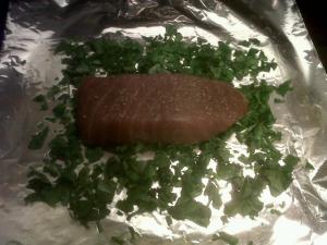 IMG00304-20120208-1909