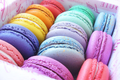 tumblr_mdalz581us1qg9loyo1_500